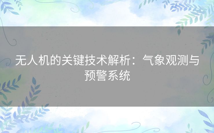 无人机的关键技术解析：气象观测与预警系统