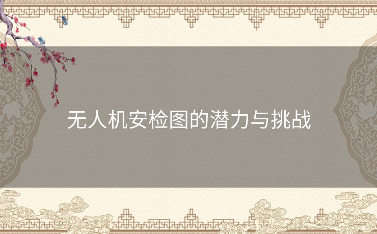 无人机安检图的潜力与挑战