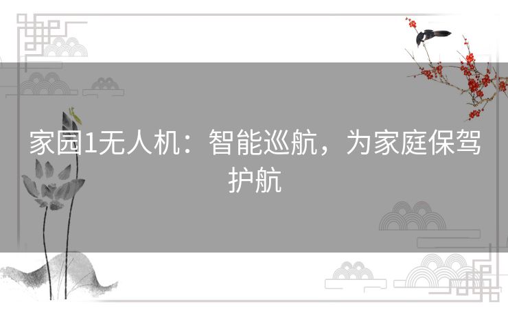家园1无人机：智能巡航，为家庭保驾护航