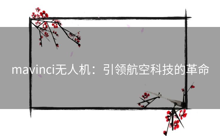 mavinci无人机：引领航空科技的革命
