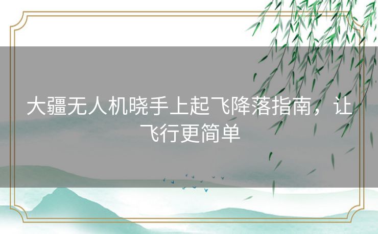 大疆无人机晓手上起飞降落指南，让飞行更简单