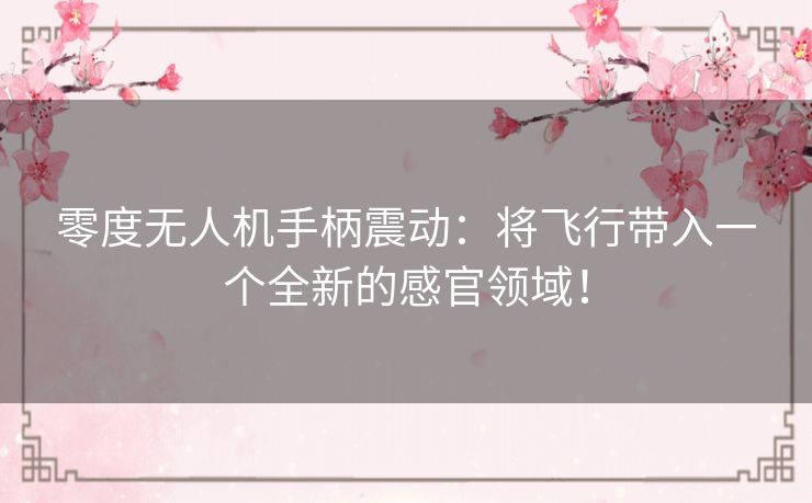 零度无人机手柄震动：将飞行带入一个全新的感官领域！