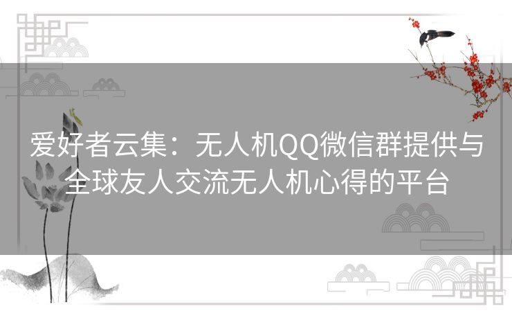 爱好者云集：无人机QQ微信群提供与全球友人交流无人机心得的平台