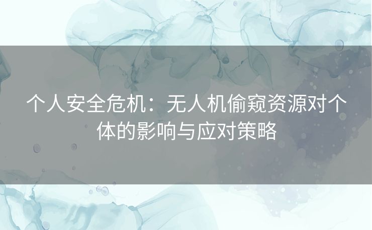 个人安全危机：无人机偷窥资源对个体的影响与应对策略