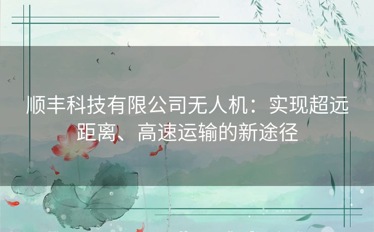 顺丰科技有限公司无人机：实现超远距离、高速运输的新途径