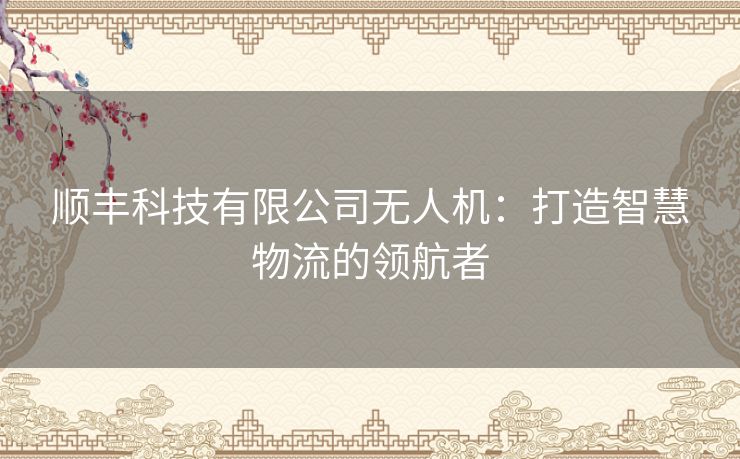 顺丰科技有限公司无人机：打造智慧物流的领航者