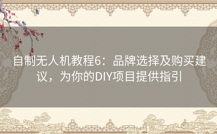 自制无人机教程6：品牌选择及购买建议，为你的DIY项目提供指引