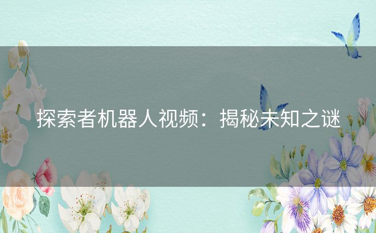 探索者机器人视频：揭秘未知之谜