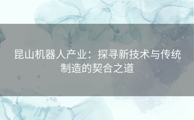 昆山机器人产业：探寻新技术与传统制造的契合之道