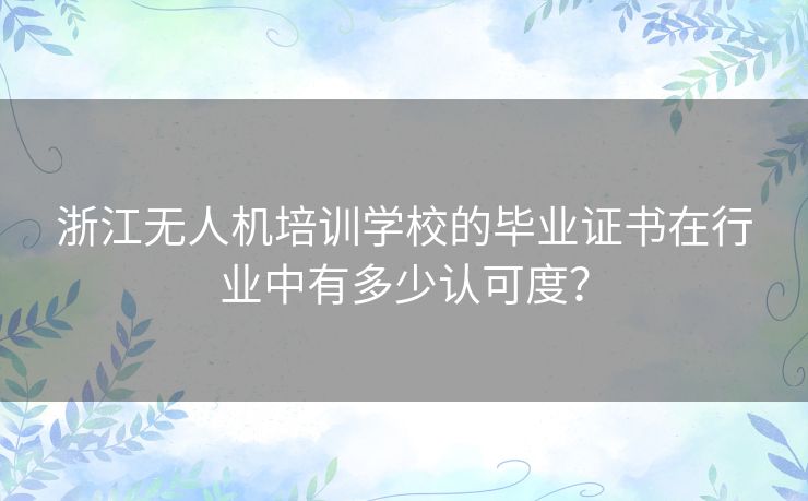 浙江无人机培训学校的毕业证书在行业中有多少认可度？