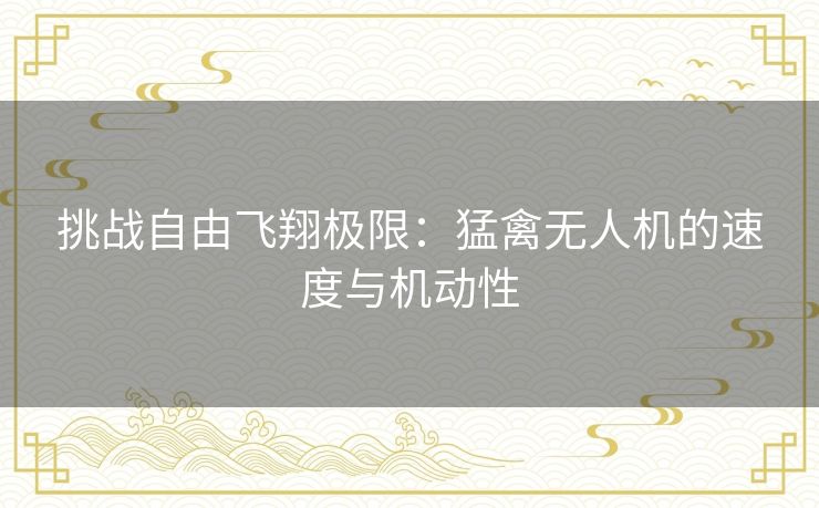挑战自由飞翔极限：猛禽无人机的速度与机动性