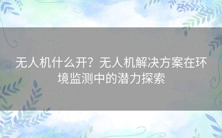 无人机什么开？无人机解决方案在环境监测中的潜力探索