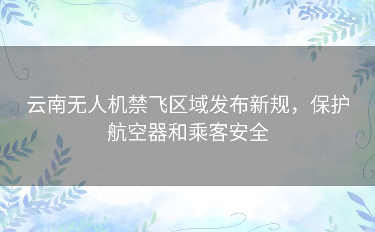 云南无人机禁飞区域发布新规，保护航空器和乘客安全