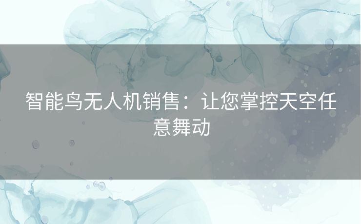 智能鸟无人机销售：让您掌控天空任意舞动