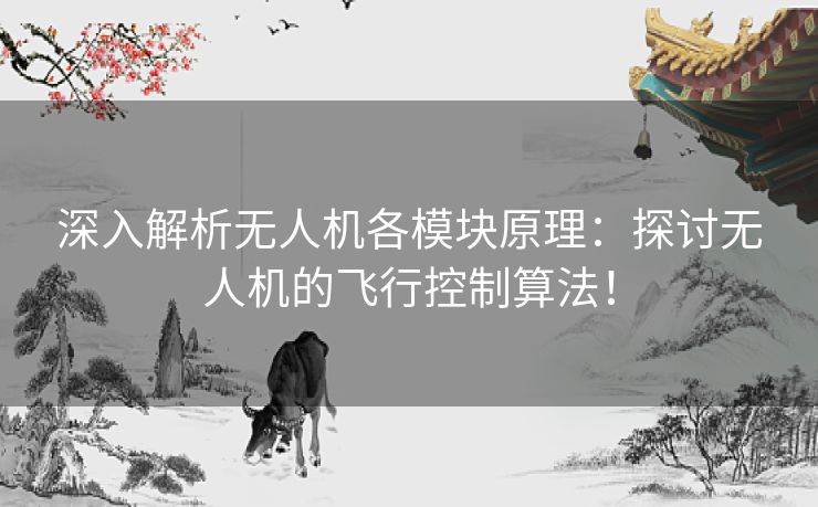 深入解析无人机各模块原理：探讨无人机的飞行控制算法！