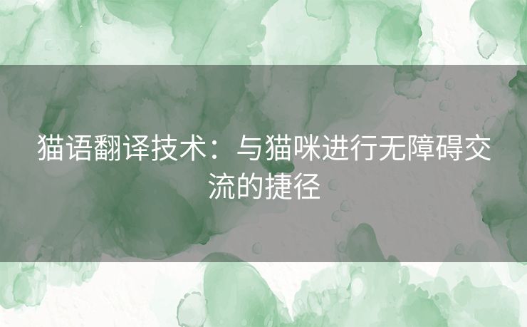 猫语翻译技术：与猫咪进行无障碍交流的捷径