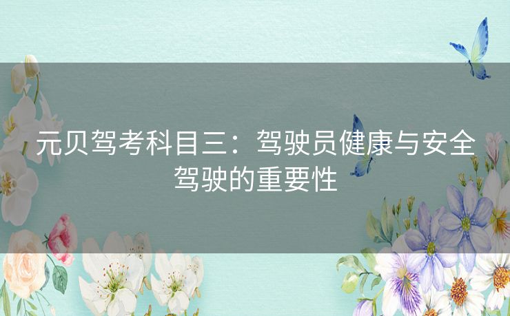 元贝驾考科目三：驾驶员健康与安全驾驶的重要性