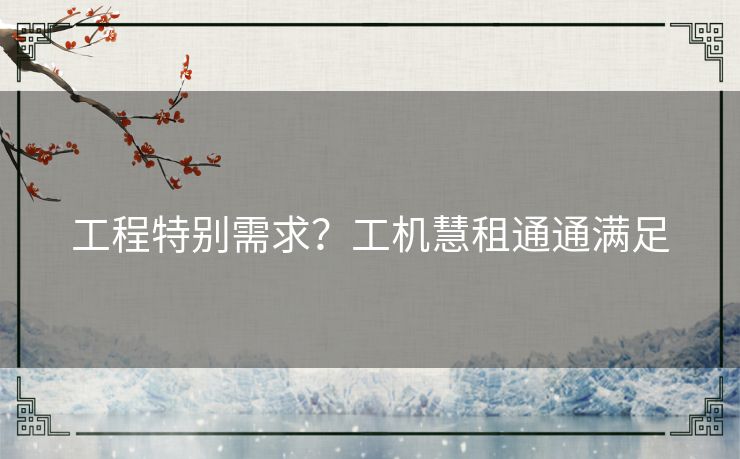 工程特别需求？工机慧租通通满足