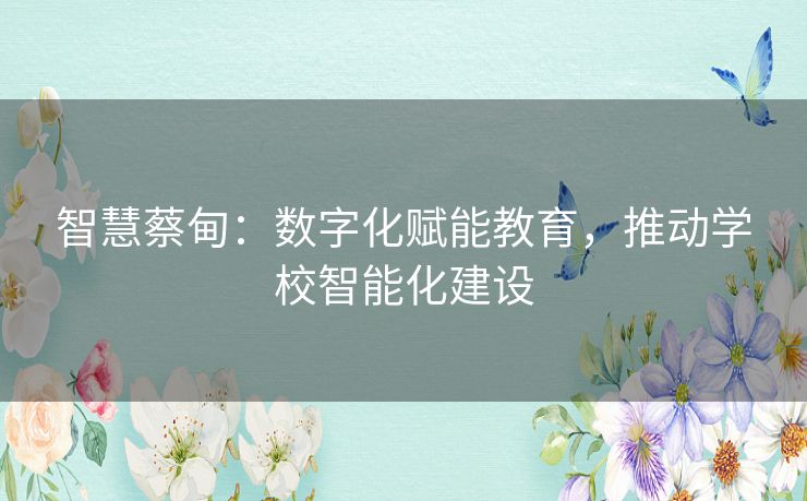 智慧蔡甸：数字化赋能教育，推动学校智能化建设