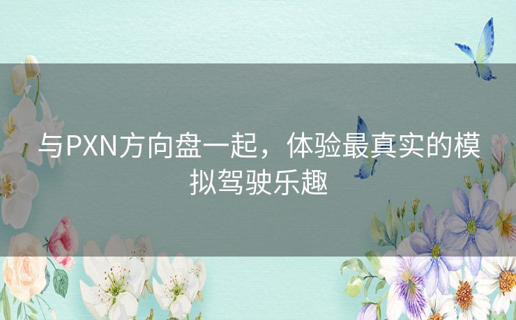与PXN方向盘一起，体验最真实的模拟驾驶乐趣