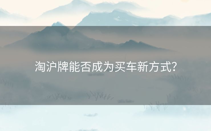 淘沪牌能否成为买车新方式？