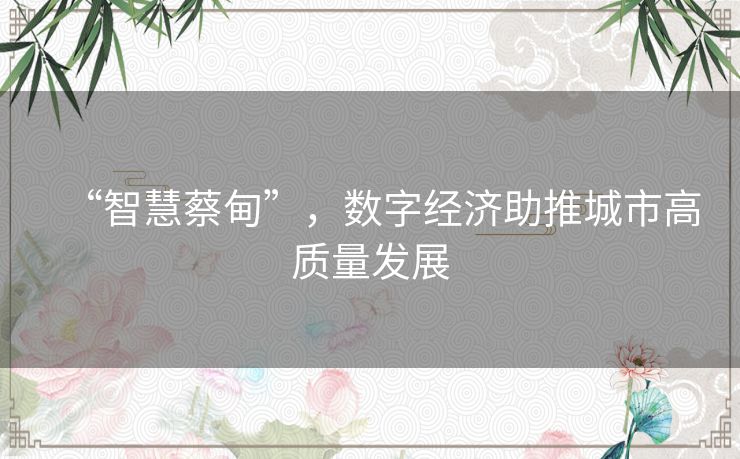 “智慧蔡甸”，数字经济助推城市高质量发展