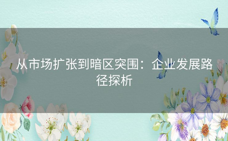 从市场扩张到暗区突围：企业发展路径探析