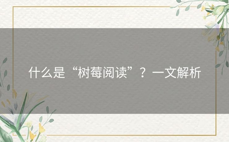 什么是“树莓阅读”？一文解析