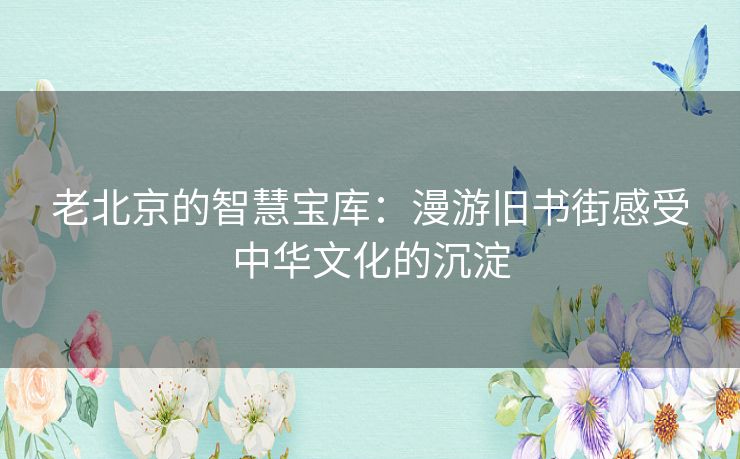 老北京的智慧宝库：漫游旧书街感受中华文化的沉淀