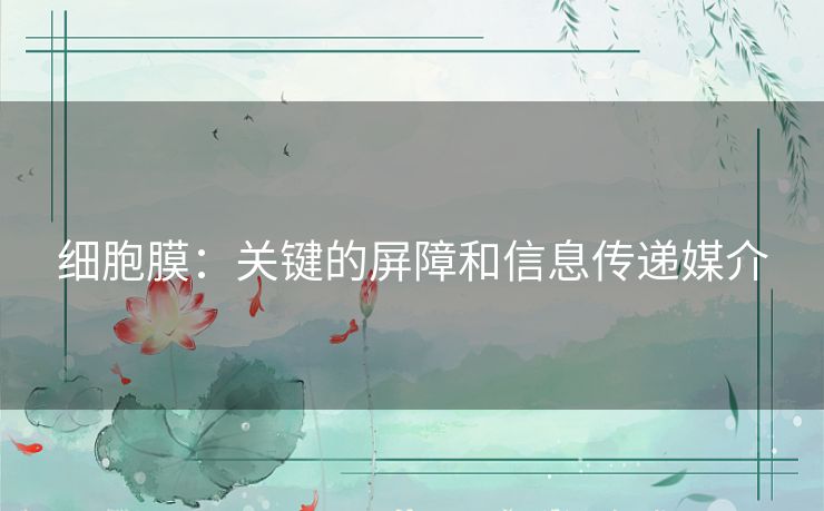 细胞膜：关键的屏障和信息传递媒介