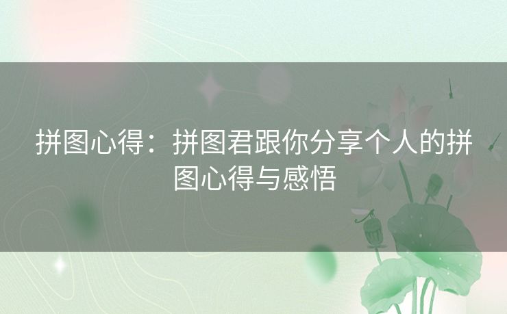拼图心得：拼图君跟你分享个人的拼图心得与感悟