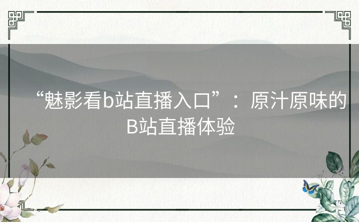 “魅影看b站直播入口”：原汁原味的B站直播体验