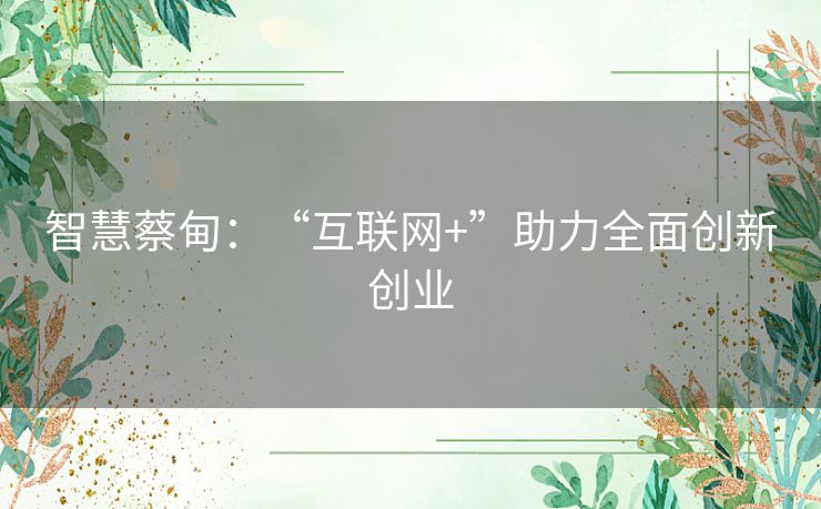 智慧蔡甸：“互联网+”助力全面创新创业