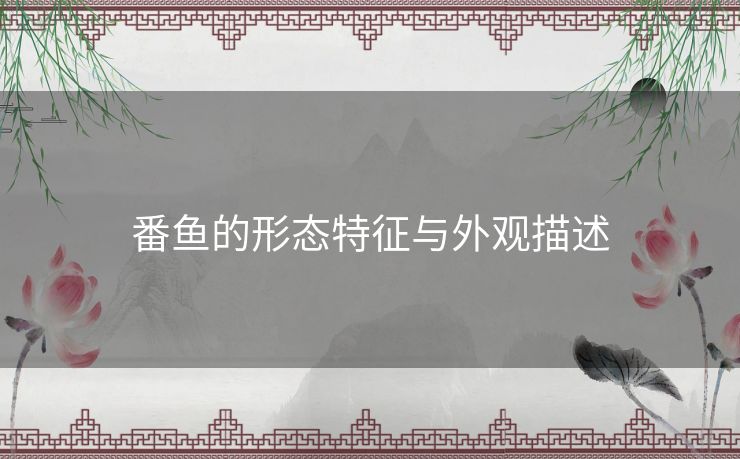 番鱼的形态特征与外观描述