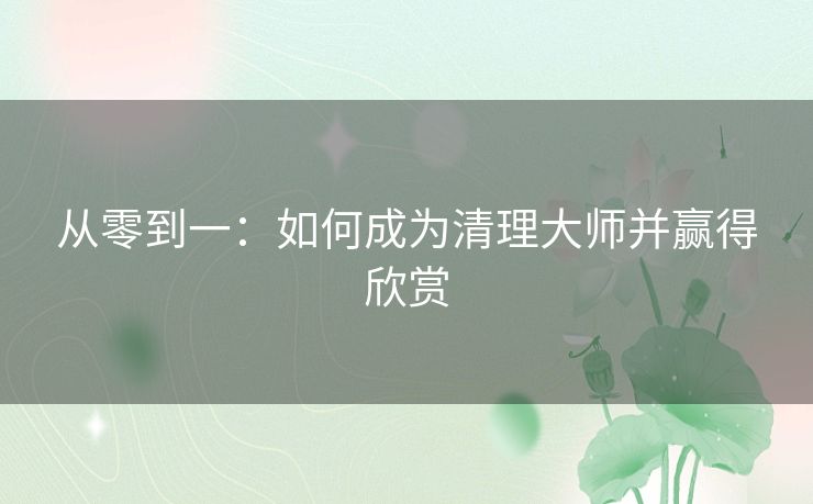 从零到一：如何成为清理大师并赢得欣赏