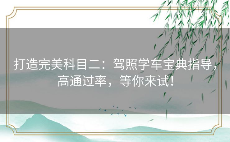 打造完美科目二：驾照学车宝典指导，高通过率，等你来试！