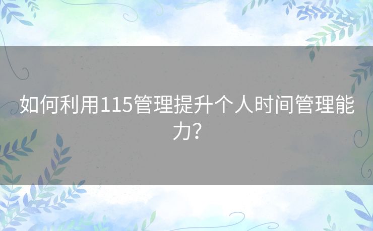 如何利用115管理提升个人时间管理能力？