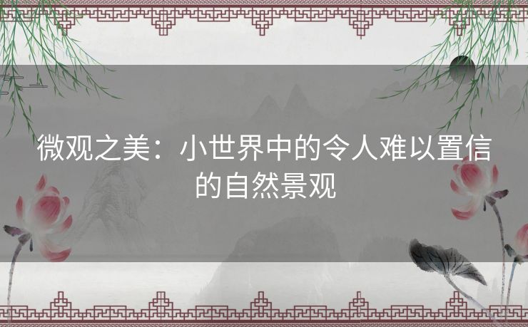 微观之美：小世界中的令人难以置信的自然景观