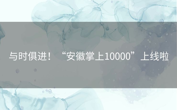 与时俱进！“安徽掌上10000”上线啦