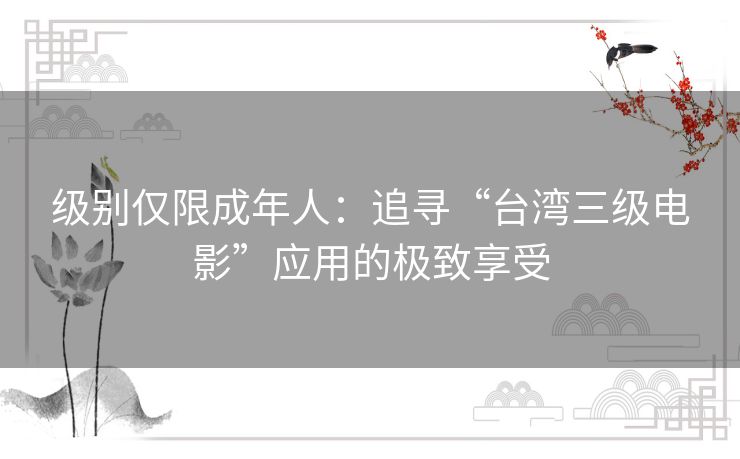 级别仅限成年人：追寻“台湾三级电影”应用的极致享受