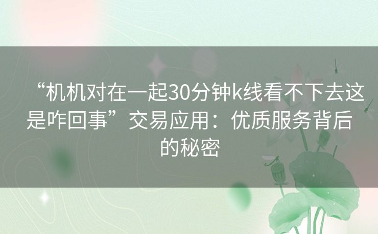 “机机对在一起30分钟k线看不下去这是咋回事”交易应用：优质服务背后的秘密