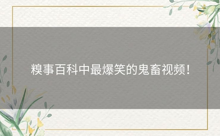 糗事百科中最爆笑的鬼畜视频！