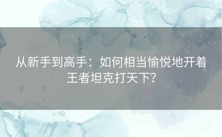从新手到高手：如何相当愉悦地开着王者坦克打天下？