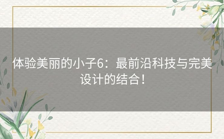 体验美丽的小子6：最前沿科技与完美设计的结合！