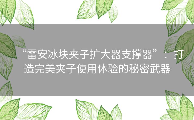 “雷安冰块夹子扩大器支撑器”：打造完美夹子使用体验的秘密武器