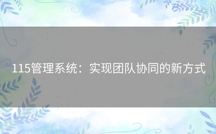 115管理系统：实现团队协同的新方式