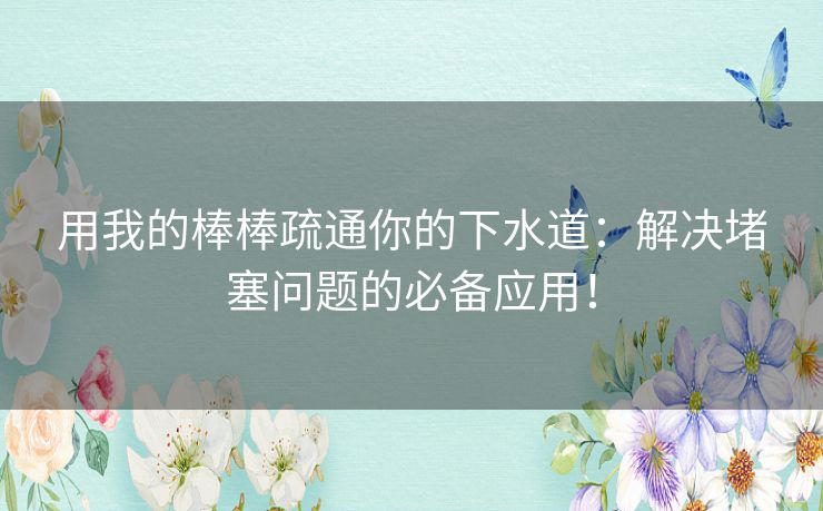 用我的棒棒疏通你的下水道：解决堵塞问题的必备应用！