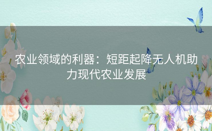 农业领域的利器：短距起降无人机助力现代农业发展