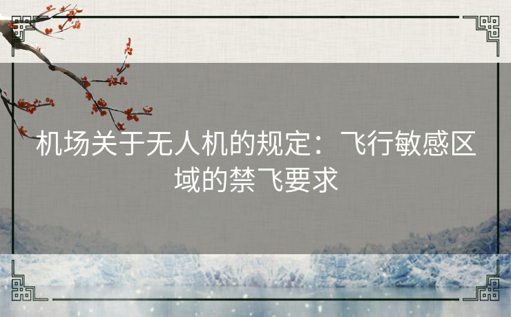 机场关于无人机的规定：飞行敏感区域的禁飞要求