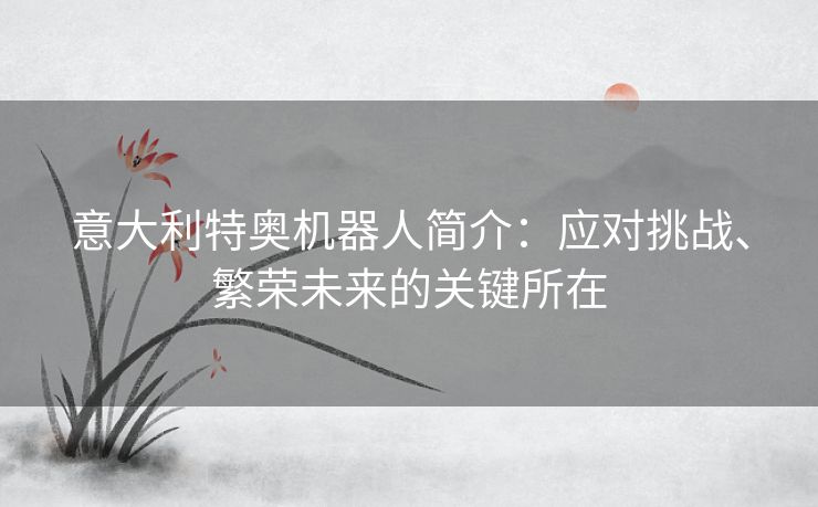 意大利特奥机器人简介：应对挑战、繁荣未来的关键所在